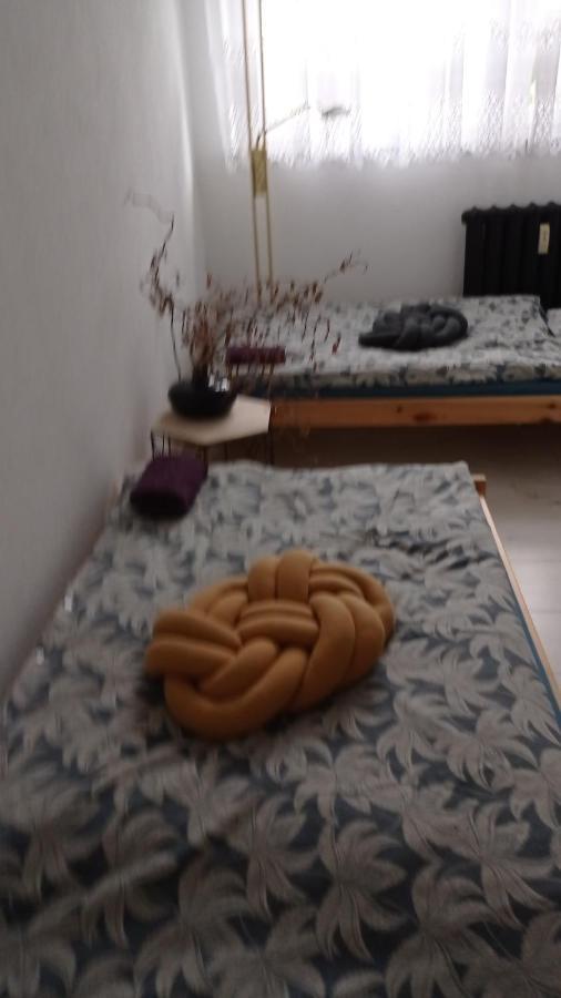 Babcares Apa Gory Izerskie Apartment Mirsk Luaran gambar